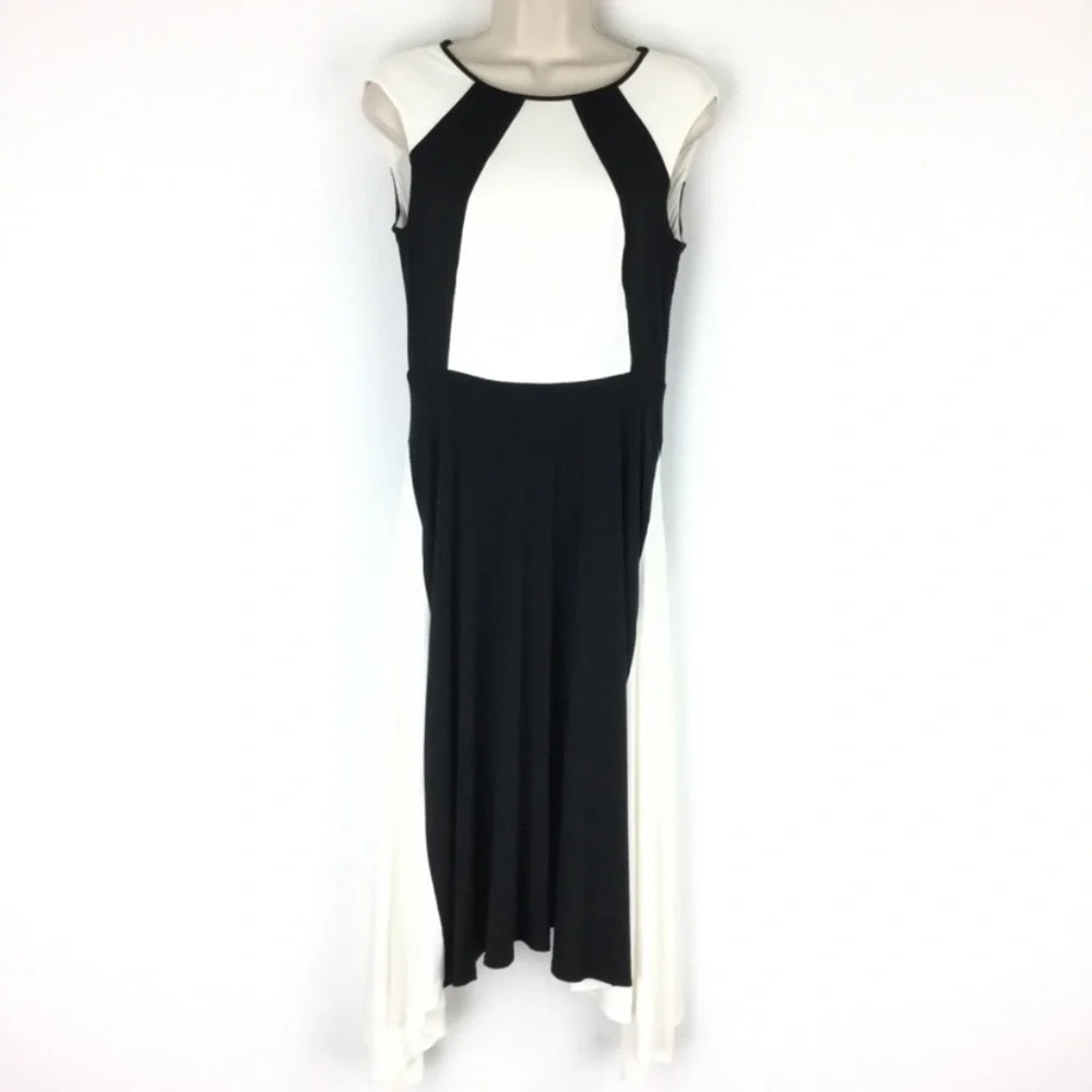 Ann Taylor Gorgeous Swingy Dress EUC
